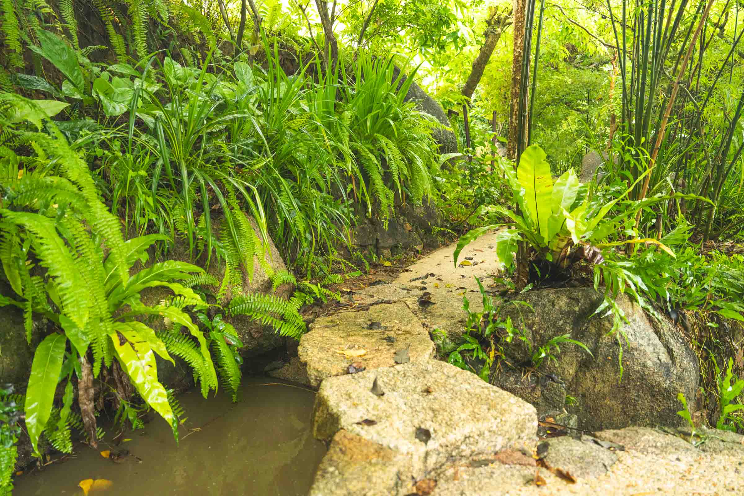 Garden nature